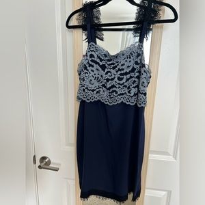 Club Monaco Makena Lace Dress